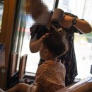 고정현헤어 앨리웨이 인천점 | 도화동 고정현헤어 앨리웨이 인천점, 아이 머리 커트 미용실 후기