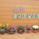 절굿대story