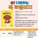 횡성도서관 이미지