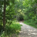 금수문화공원야영장(2) 이미지