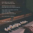 돼지오빠 이미지