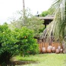 소랑제 돌담 이미지