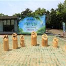 치유의숲 이미지