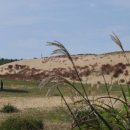 사구센터 전시실 이미지