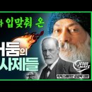 우리를 미혹해 온 어둠의 사제들 : 루소·다윈·니체·마르크스·프로이트 그리고 오쇼 라즈니쉬 기타 등등_ 김성욱 대표 이미지