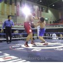 엘리트 복싱 Gym 이미지