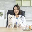 라온반려동물병원 이미지