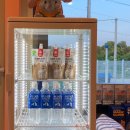 도그노크 이미지