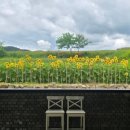 담아봄 풀빌라 이미지