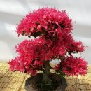 장수공원 이미지