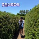 세븐일레븐서귀포상예동점 | 제주 가볼만한 곳 | 제주도 관광지 중문미로파크