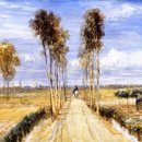 포플러(poplar) 이미지
