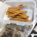 피드미(Feed Me) 이미지