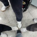 황제여관(황제모텔) | [25.10.05 3박4일 울릉도 DAY1] 울릉도 가족여행/강릉 씨투어 패키지 여행 후기