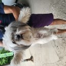 평택비전푸르지오 110동 앞 이미지