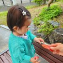 인지어린이집 | 마산 현동 보듬이 어린이집을 추천하는 입소 후기