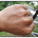 벌이네민박 이미지