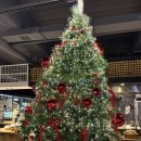 샛별초등학교 | [산남동] 청주 연말모임 ‘트리제이 더 테라스’ 분위기 좋은 뷔페 추천/단체모임/회식