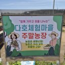 다호경로당 | 2026년 동읍 다호 체험마을-주말농장 개장식