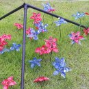 선의행정사사무소 이미지