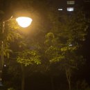 흑석산책로 이미지