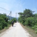 상교농장 이미지