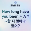 BIG IT KOREA | 전화영어 효과 진짜 있을까? 랭디 영어회화 후기로 확인한 변화
