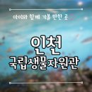 환경로 | 인천 국립생물자원관｜층별 전시부터 아이 체험·카페까지 완벽 정리｜재방문 후기
