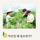 미백산업 이미지