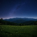 여름밤 이미지