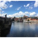 트래블몬스터 이미지