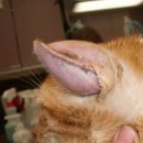 쓰담쓰담 동물병원 이미지