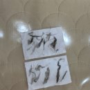 안산유통상가 3동 | 안산 상록수 20년 경력의 가성비 에스테틱 추천 도연스토리 스킨플래닝 후기