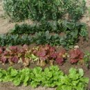 개울건너 이미지