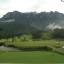 델피노숲 이미지