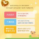 문막동물병원 이미지