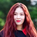 현아민박 뉴스엔