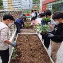 율산초등학교 이미지