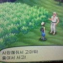허선생