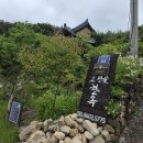 강진-40 | [강진 여행] 다산의 숨결을 느끼고 비용은 절반으로! '강진 반값 여행' 리얼 후기