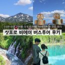 멜론버스(주) | [내돈내산 / 여름 삿포로여행] 비에이투어 코스 정리 삿포로 비에이 버스투어 후기