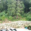 거제힐스토리키즈풀빌라 이미지