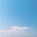 빠당빠당 이미지