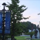 강릉 2024 아트센터사임당홀 시립미술관 교동899 솔올미술관 이미지