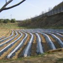 리라농장 이미지