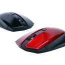 마우스2 이미지