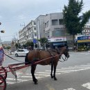 [대구] 달성공원, 몽짬뽕, 요거트마마, 송해공원, 또박꽈배기, 순천만민물장어