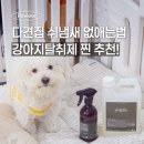첨담기업3로2L-5 | 강아지 쉬냄새 없애는법, 바이오이엠케어 강아지탈취제