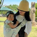 시트모아 이미지