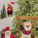 알로하펫 이미지